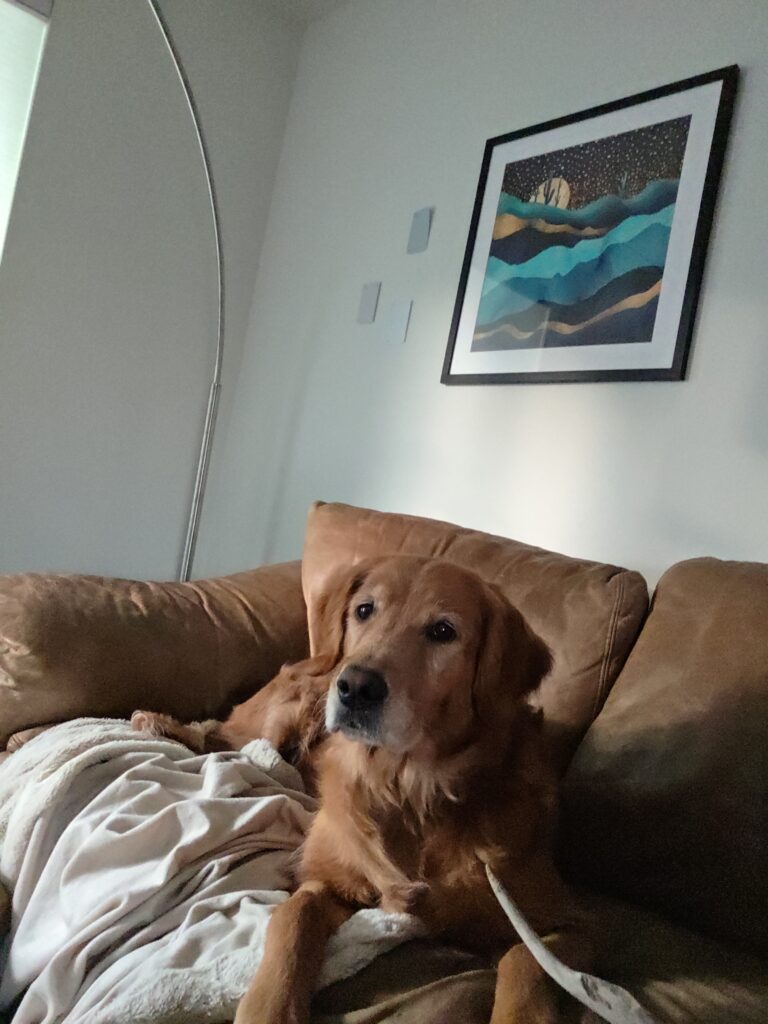 Ginger